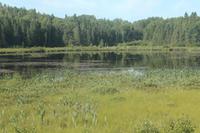 entlang traumhafter Landschaften