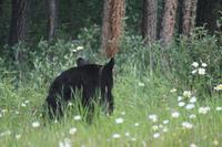 fertig gefrühstückt