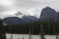 unterwegs auf dem Icefields Parkway