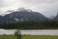 unterwegs auf dem Icefields Parkway