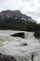 am Athabasca Wasserfall