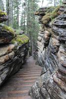 am Athabasca Wasserfall