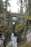 am Athabasca Wasserfall