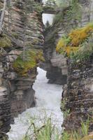 am Athabasca Wasserfall