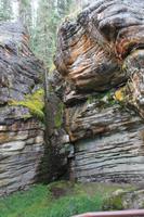 am Athabasca Wasserfall