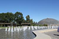Vancouver: Queen Elizabeth Park