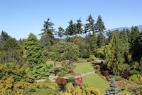 im Queen Elizabeth Park