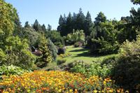 im Queen Elizabeth Park