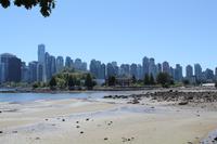 Ebbe am Stanley Park