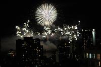 Feuerwerk ueber Vancouver