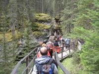 Johnston Canyon