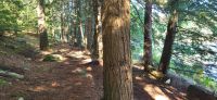 45 Wanderung entlang des Hardy Lakes