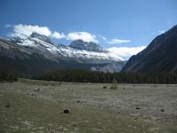 Rocky Mountains - Icefield Parkway