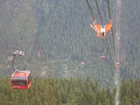Peak2Peak - längste freihängende Kabinenseilbahn der Welt