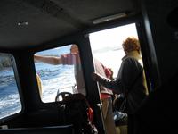 Tofino - Whale Watching