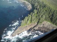 Rückflug nach Tofino