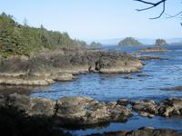 Uclulet - Wild Ocean Trail