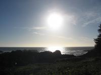 Uclulet - Wild Ocean Trail