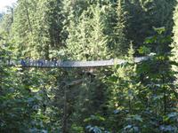 Vancouver - Capilano Hängebrücke