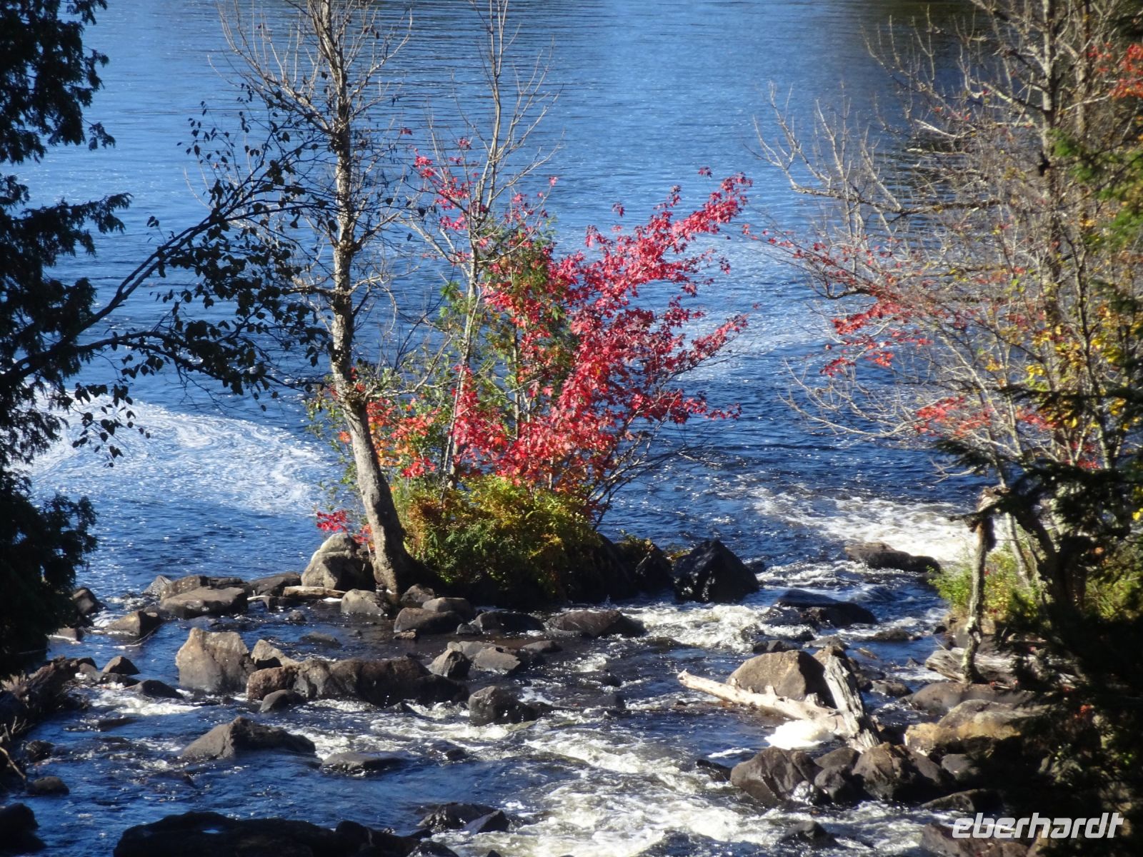 464053F9-00B3-4E64-83D4-976B73184458.jpeg