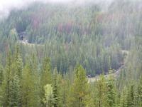 P1020333-Spiraltunnel