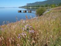 P1020496-Fort St.James