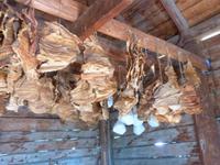 P1020506-Fort St.James