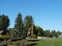 P1020525-größte Angel der Welt in Houston