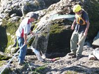 P1020529-Indianer in Moricetown