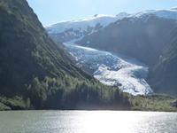 P1020559-Beargletscher