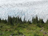 P1020624-Gletscherspalten des Salmon Gletschers