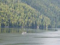 P1020671-Fähre durch die Inside Passage