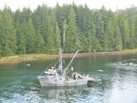 P1020678-Fischer in Bella Bella