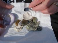 P1020872-unsere Ausbeute