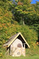 Auf der Zuckerahornsirupfarm