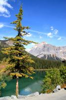 Ein Ausflug rund um Banff