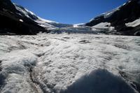 Am Columbia Icefield