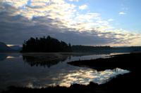 Das Warten auf die Bären