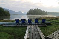 Das Warten auf die Bären