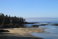 Der Nebel lichtet sich