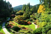 In den Butchart Gardens