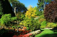 In den Butchart Gardens