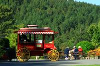 In den Butchart Gardens