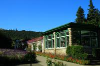 In den Butchart Gardens