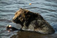 Er lässt es sich schmecken