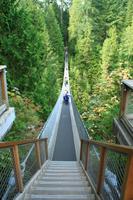 Capilano Suspension Bridge