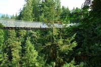 Die Capilano Suspension Bridge