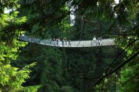 Die Capilano Suspension Bridge