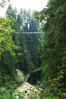 Die Capilano Suspension Bridge