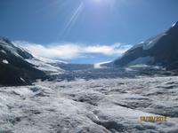 Auf dem Columbia Icefield